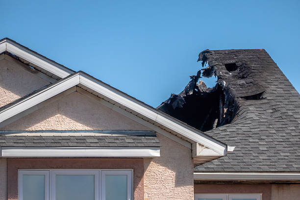 Top rated local Board Up Services specialists in Newport, WA